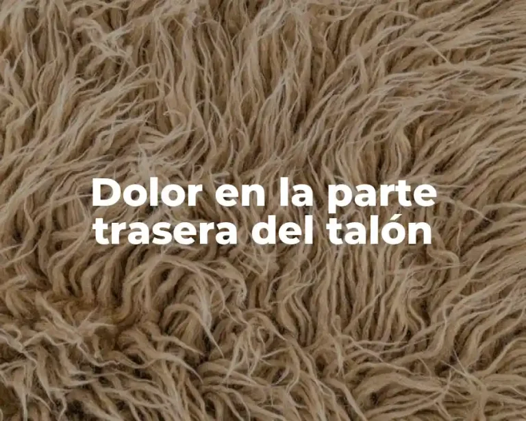 Dolor en la parte trasera del talón