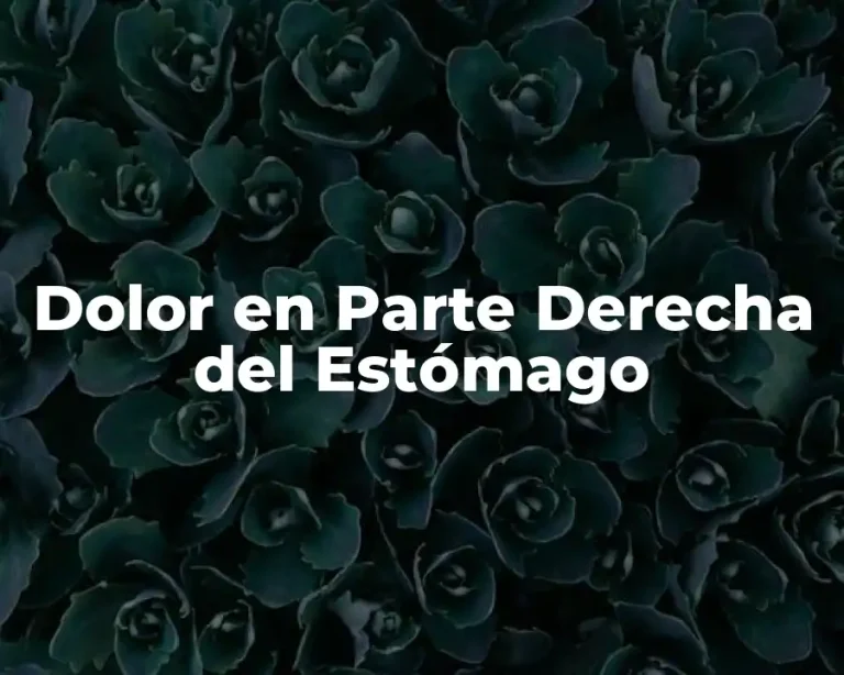 Dolor en Parte Derecha del Estómago
