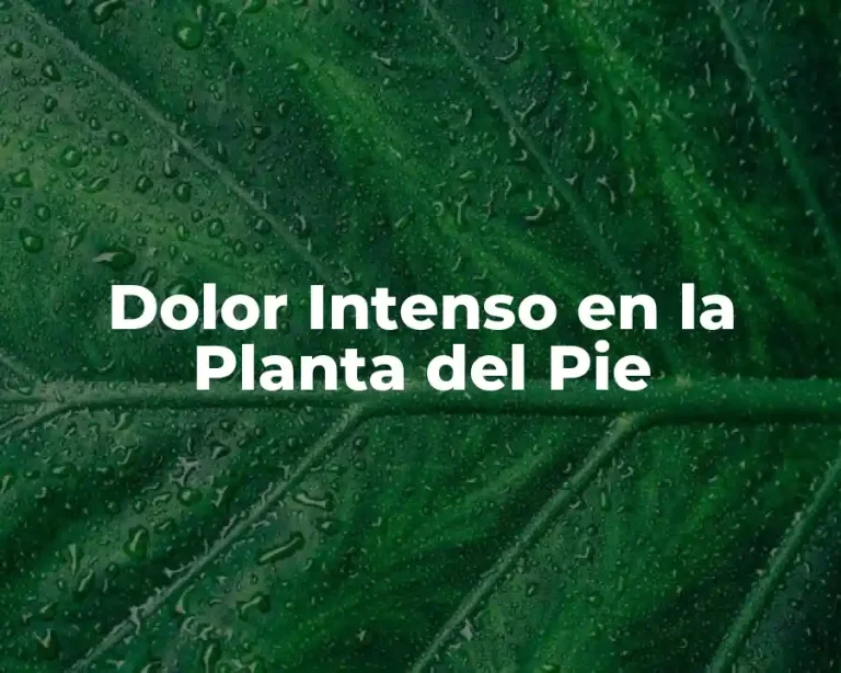 Dolor Intenso en la Planta del Pie