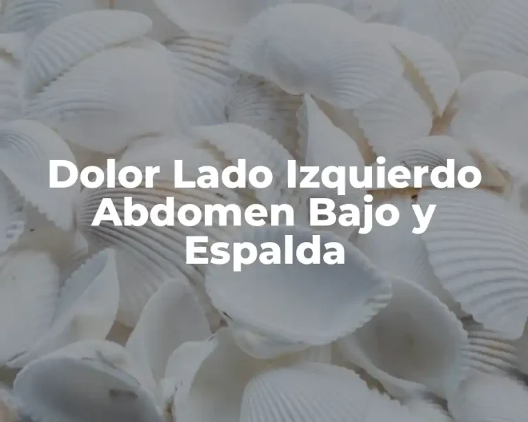 Dolor Lado Izquierdo Abdomen Bajo y Espalda