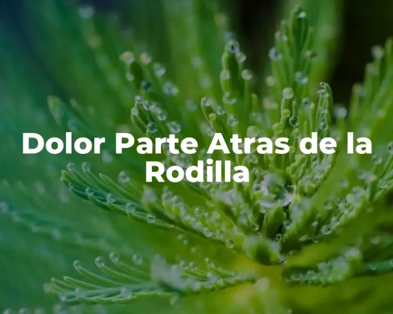 Dolor Parte Atras de la Rodilla