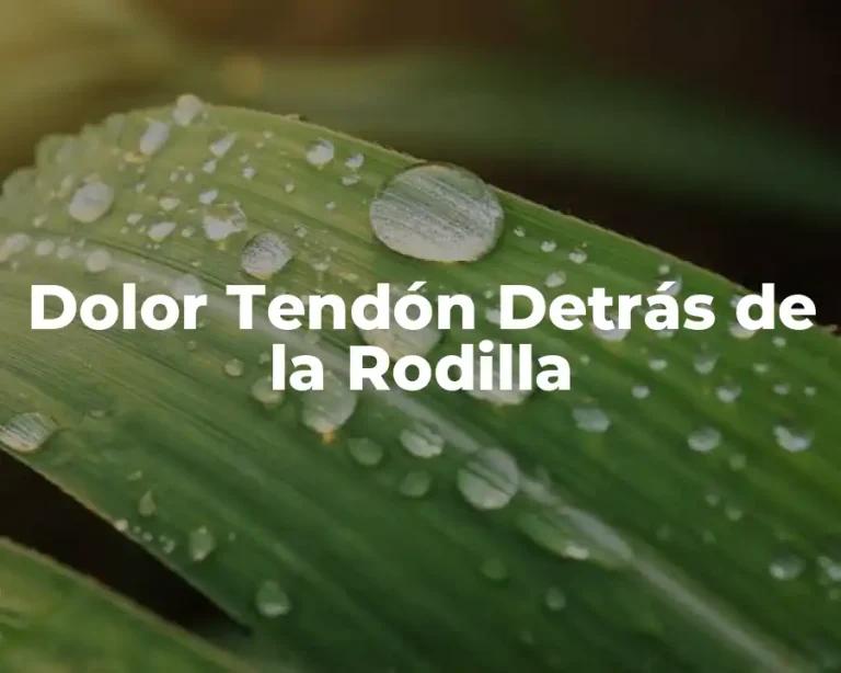 Dolor Tendón Detrás de la Rodilla