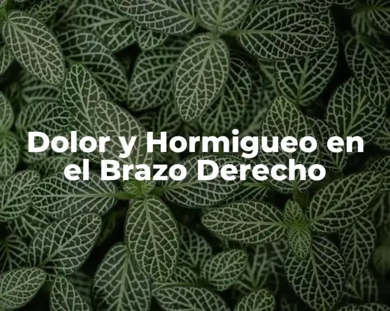 Dolor y Hormigueo en el Brazo Derecho