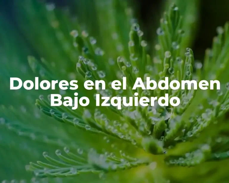 Dolores en el Abdomen Bajo Izquierdo