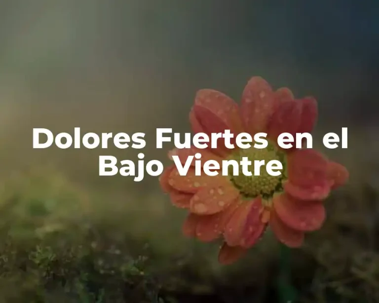 Dolores Fuertes en el Bajo Vientre