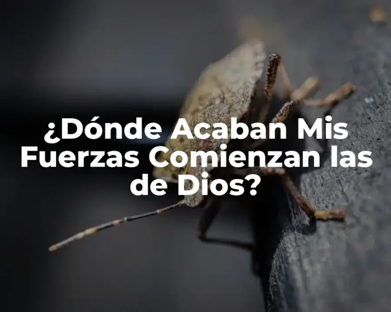 ¿Dónde Acaban Mis Fuerzas Comienzan las de Dios?