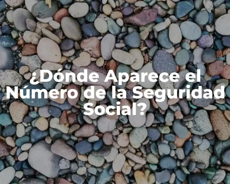 ¿Dónde Aparece el Número de la Seguridad Social?