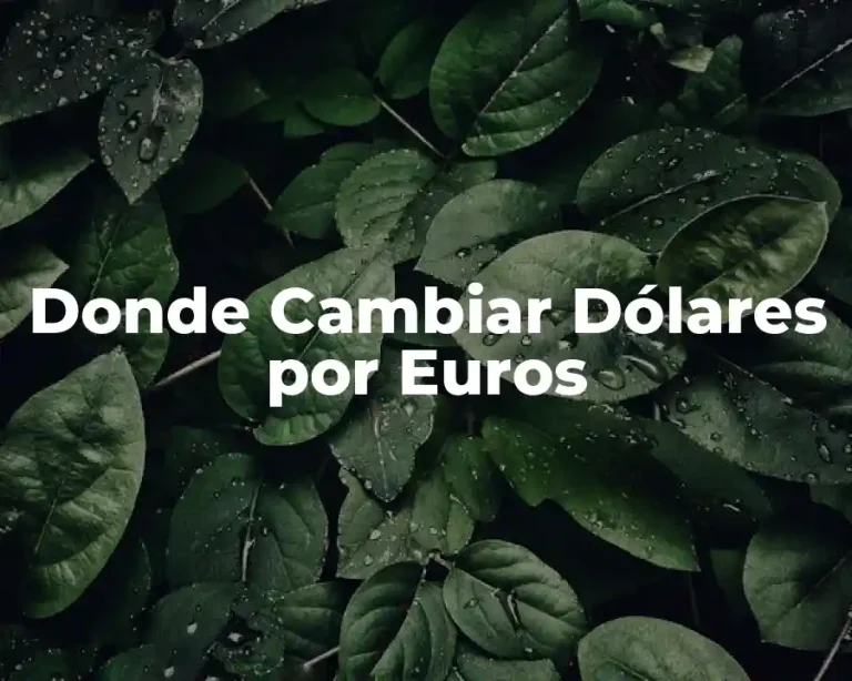 Donde Cambiar Dólares por Euros