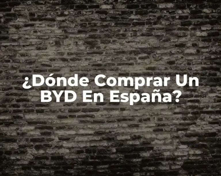 ¿Dónde Comprar Un BYD En España?