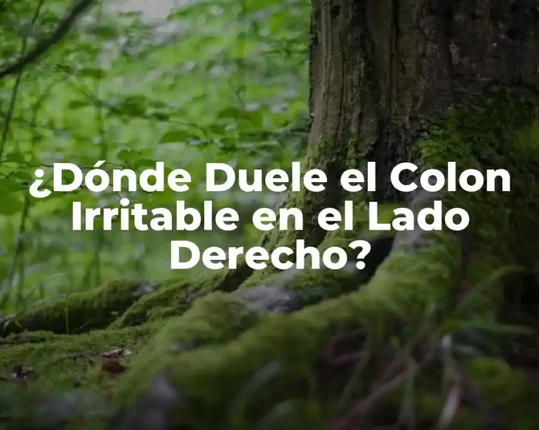 ¿Dónde Duele el Colon Irritable en el Lado Derecho?