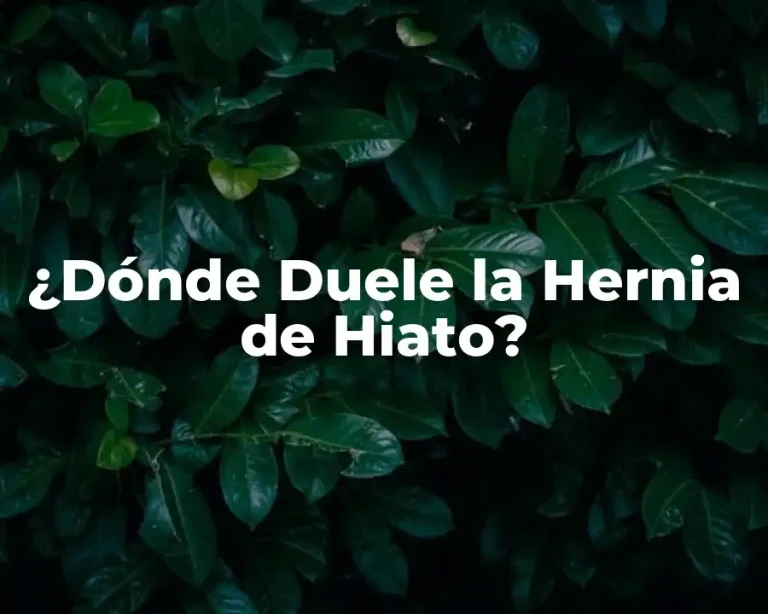 ¿Dónde Duele la Hernia de Hiato?