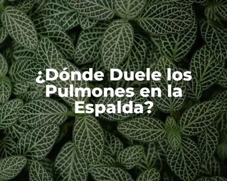 ¿Dónde Duele los Pulmones en la Espalda?