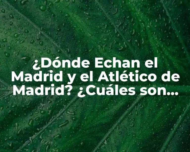 ¿Dónde Echan el Madrid y el Atlético de Madrid? ¿Cuáles son sus Estadios?