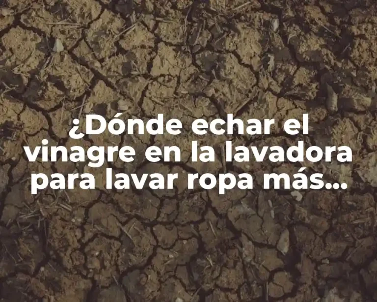 ¿Dónde echar el vinagre en la lavadora para lavar ropa más limpia y fresca?