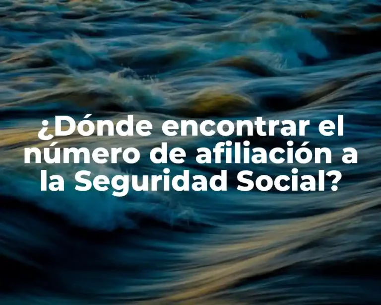 ¿Dónde encontrar el número de afiliación a la Seguridad Social?
