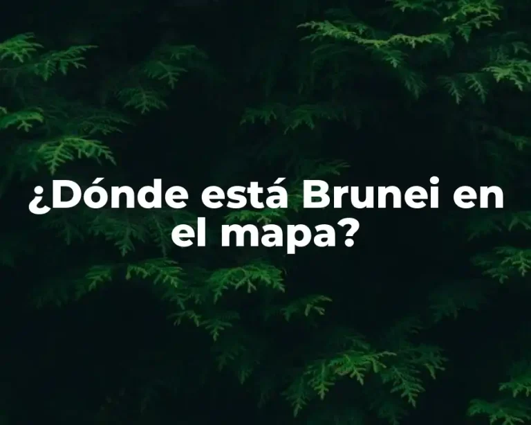 ¿Dónde está Brunei en el mapa?