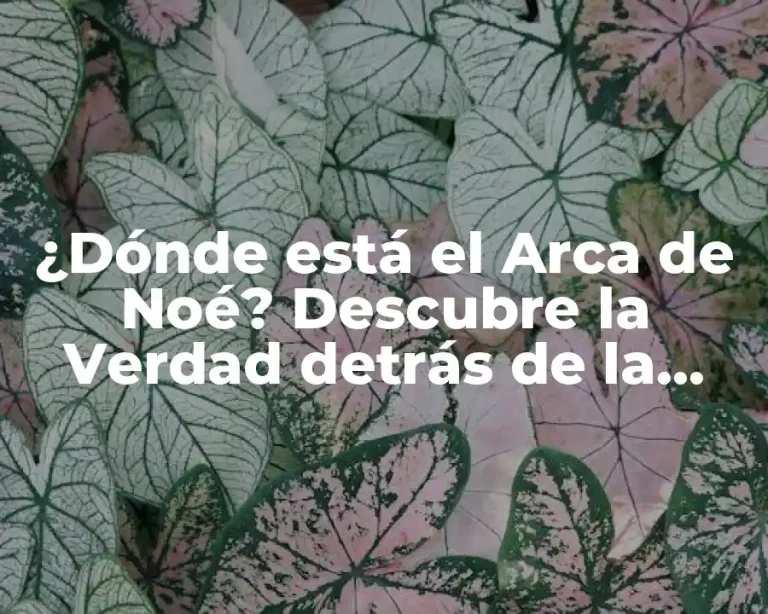 ¿Dónde está el Arca de Noé? Descubre la Verdad detrás de la Leyenda