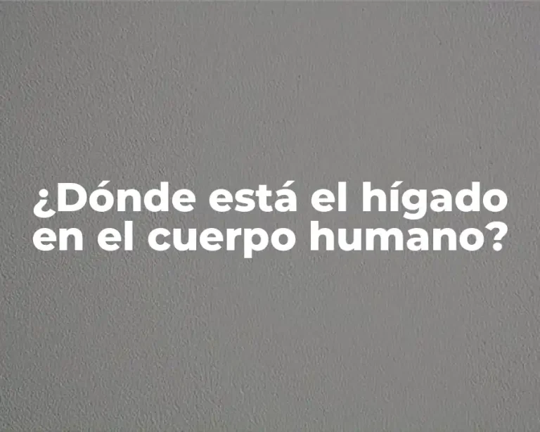¿Dónde está el hígado en el cuerpo humano?