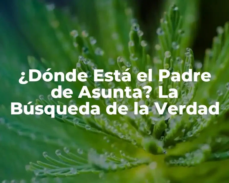 ¿Dónde Está el Padre de Asunta? La Búsqueda de la Verdad
