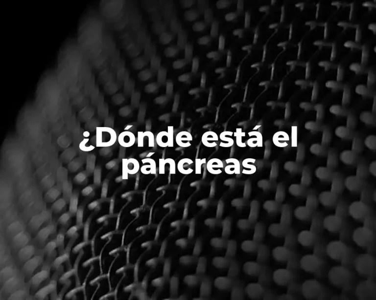 ¿Dónde está el páncreas