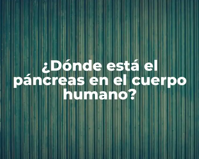 ¿Dónde está el páncreas en el cuerpo humano?