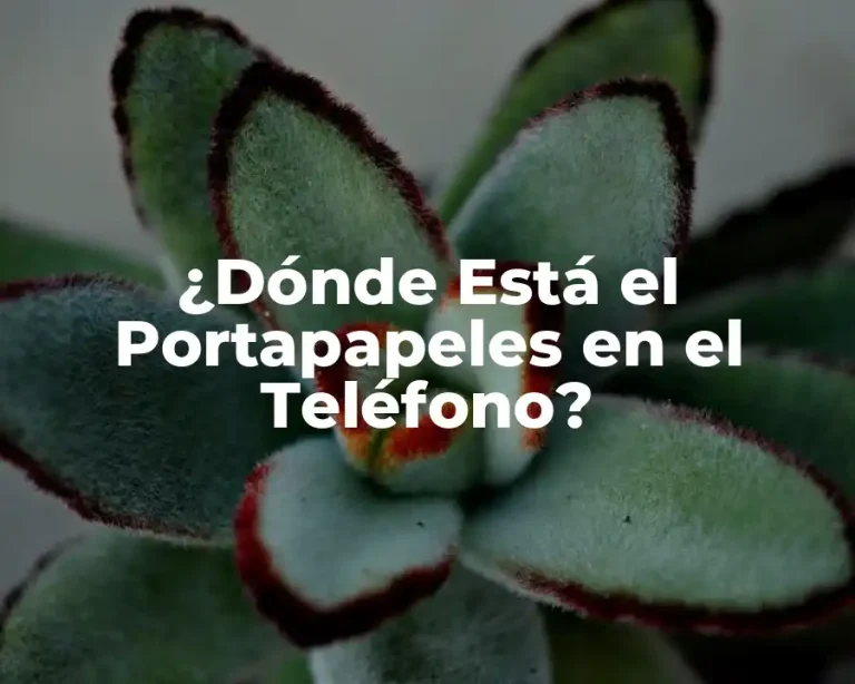 ¿Dónde Está el Portapapeles en el Teléfono?