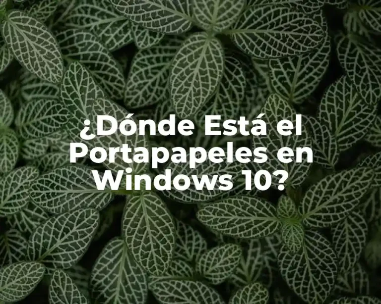 ¿Dónde Está el Portapapeles en Windows 10?