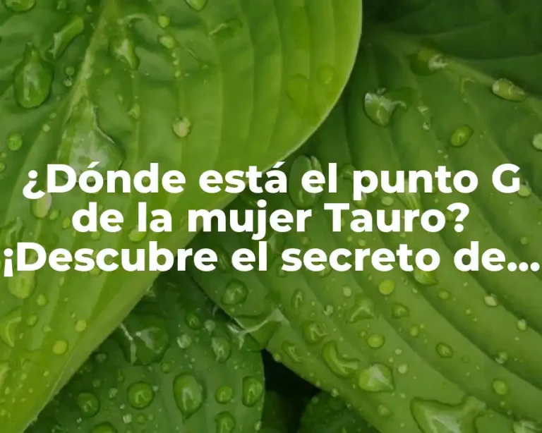 ¿Dónde está el punto G de la mujer Tauro? ¡Descubre el secreto de la pasión!