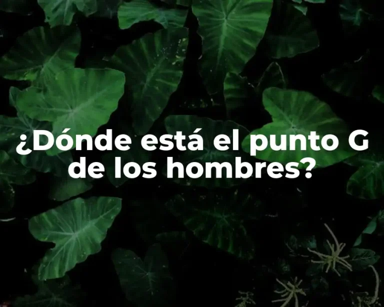 ¿Dónde está el punto G de los hombres?