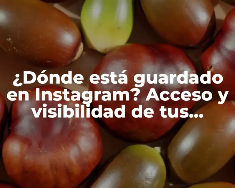 ¿Dónde está guardado en Instagram? Acceso y visibilidad de tus archivos