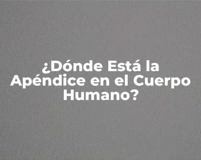 ¿Dónde Está la Apéndice en el Cuerpo Humano?