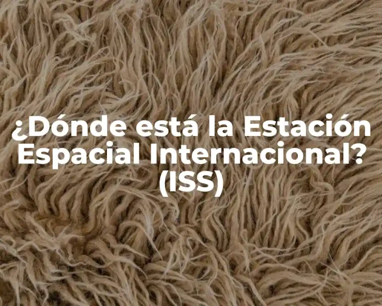 ¿Dónde está la Estación Espacial Internacional? (ISS)