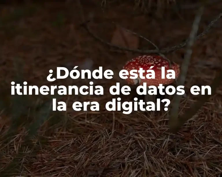 ¿Dónde está la itinerancia de datos en la era digital?
