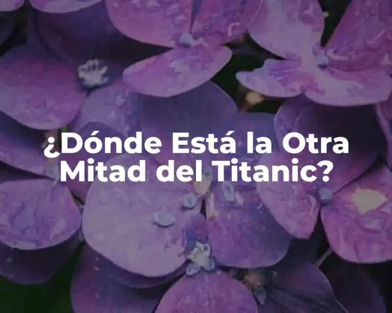 ¿Dónde Está la Otra Mitad del Titanic?