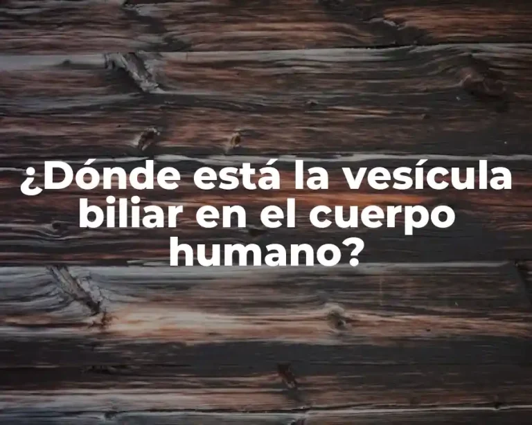 ¿Dónde está la vesícula biliar en el cuerpo humano?