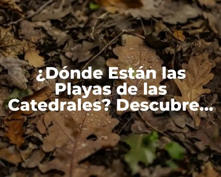 ¿Dónde Están las Playas de las Catedrales? Descubre los Tesoros de Ribadeo