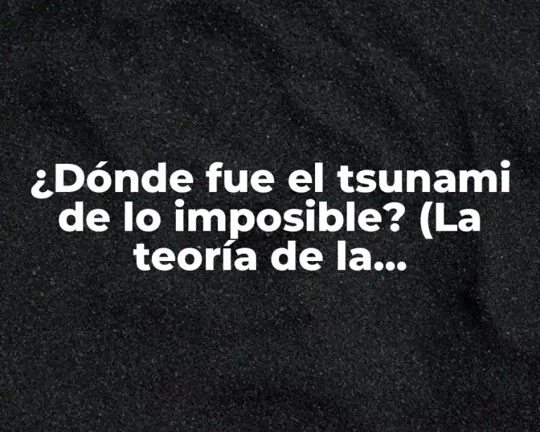 ¿Dónde fue el tsunami de lo imposible? (La teoría de la singularidad)