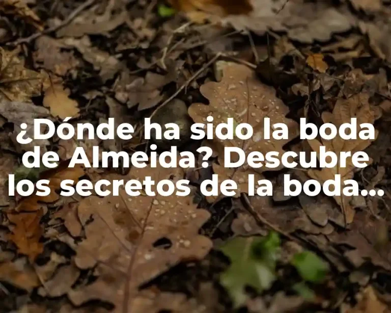 ¿Dónde ha sido la boda de Almeida? Descubre los secretos de la boda de la celebridad