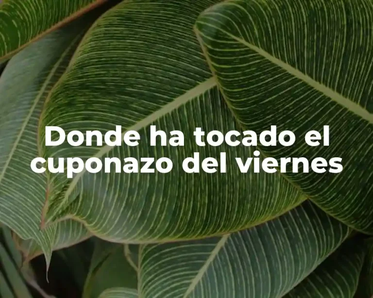 Donde ha tocado el cuponazo del viernes