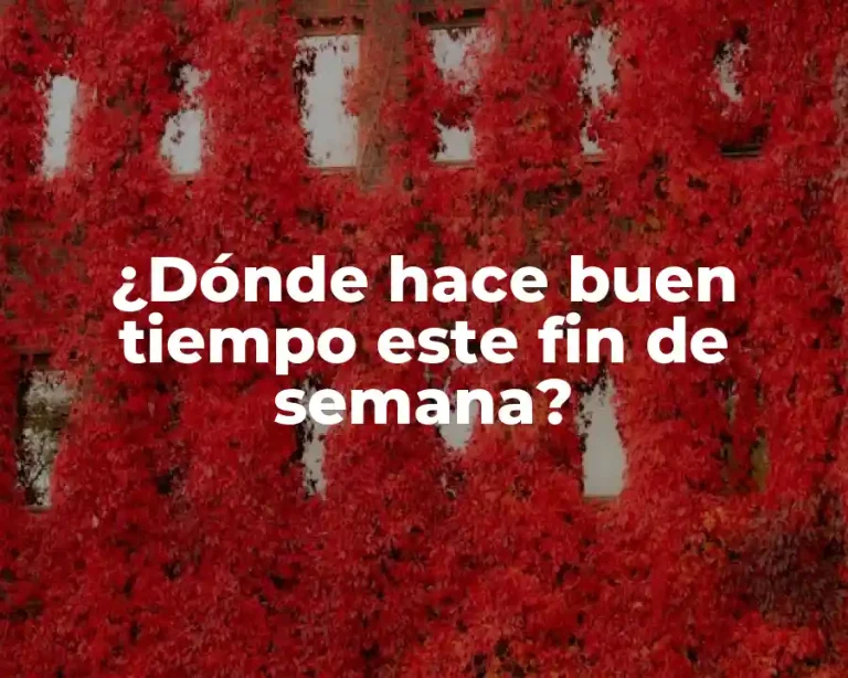 ¿Dónde hace buen tiempo este fin de semana?