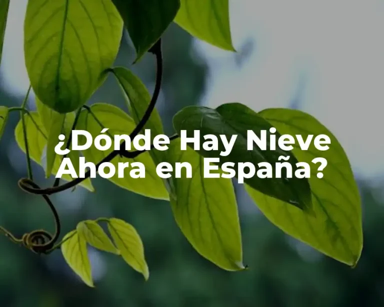 ¿Dónde Hay Nieve Ahora en España?