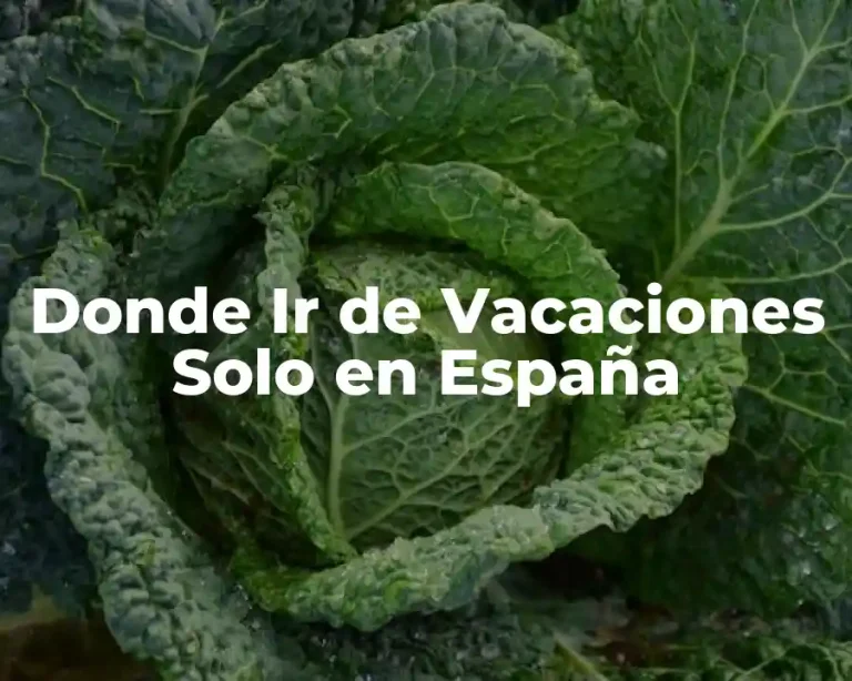 Donde Ir de Vacaciones Solo en España