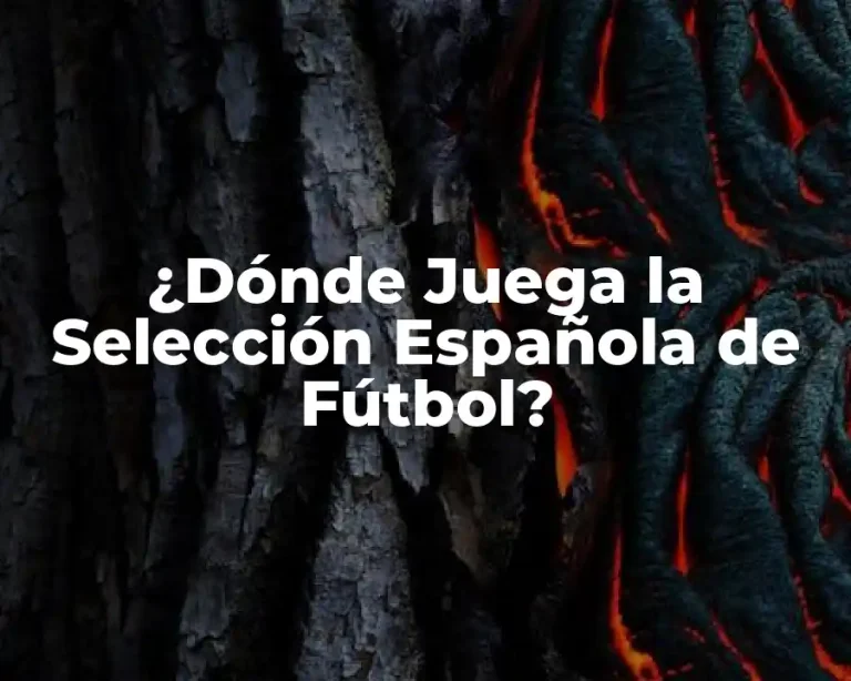 ¿Dónde Juega la Selección Española de Fútbol?
