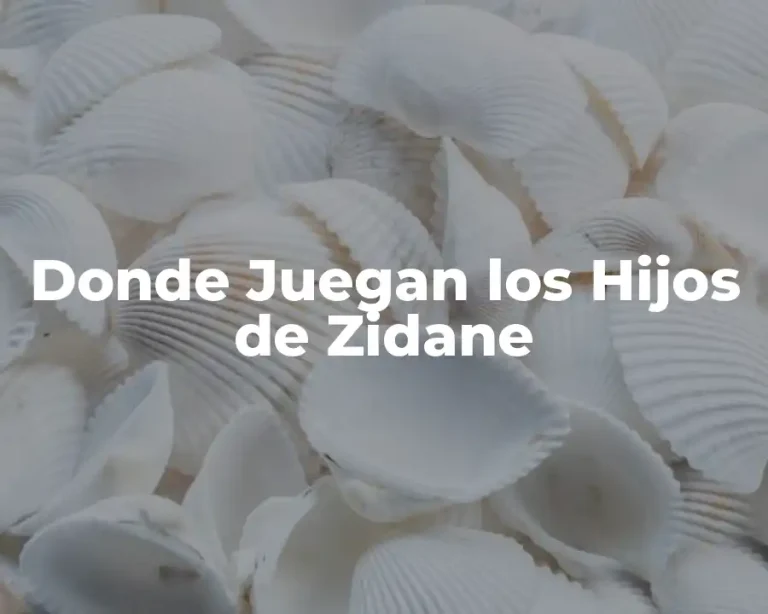 Donde Juegan los Hijos de Zidane