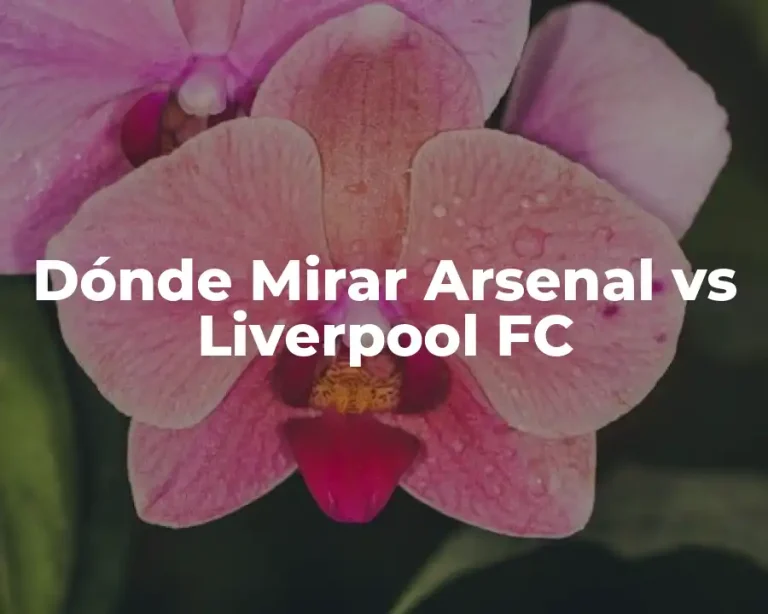 Dónde Mirar Arsenal vs Liverpool FC