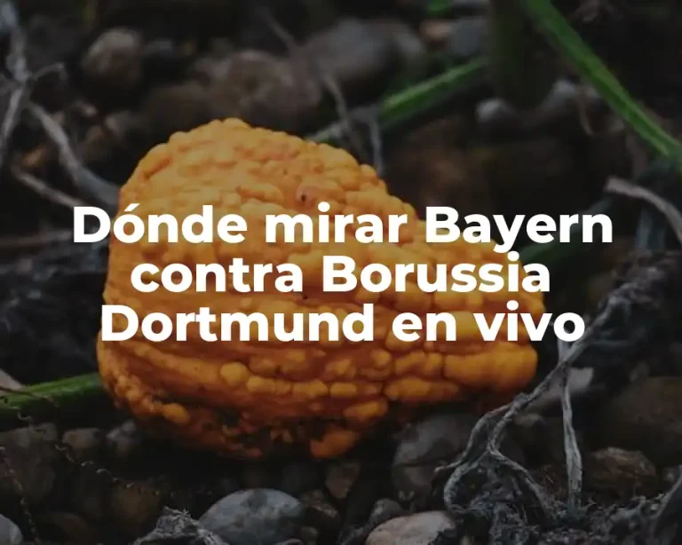 Dónde mirar Bayern contra Borussia Dortmund en vivo