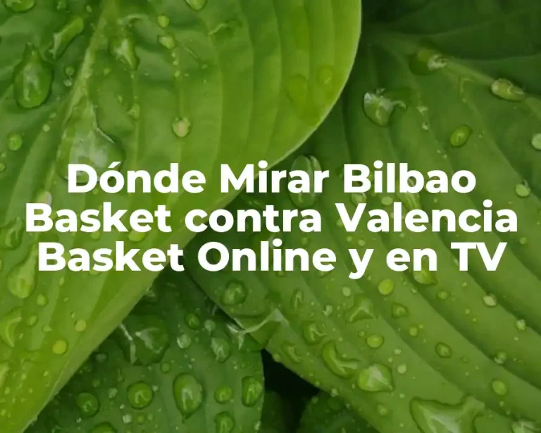 Dónde Mirar Bilbao Basket contra Valencia Basket Online y en TV