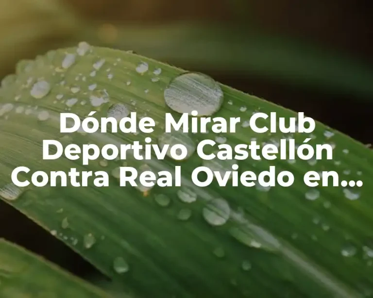 Dónde Mirar Club Deportivo Castellón Contra Real Oviedo en Vivo por Internet