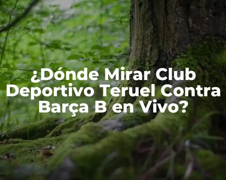 ¿Dónde Mirar Club Deportivo Teruel Contra Barça B en Vivo?