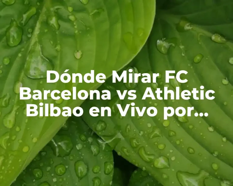 Dónde Mirar FC Barcelona vs Athletic Bilbao en Vivo por Internet